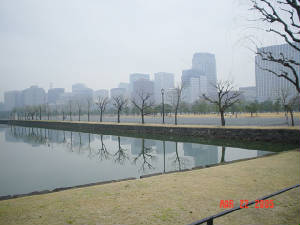 dsc05107.jpg