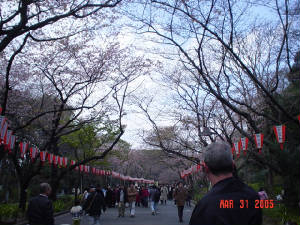 dsc05410.jpg