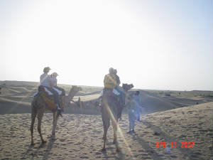 dsc07016.jpg